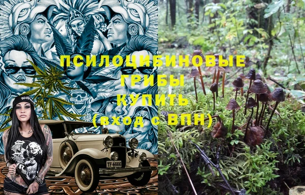 прущие грибы Белоозёрский