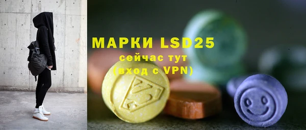 прущие грибы Белоозёрский