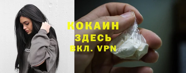 прущие грибы Белоозёрский