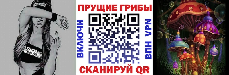 Псилоцибиновые грибы мухоморы Бор