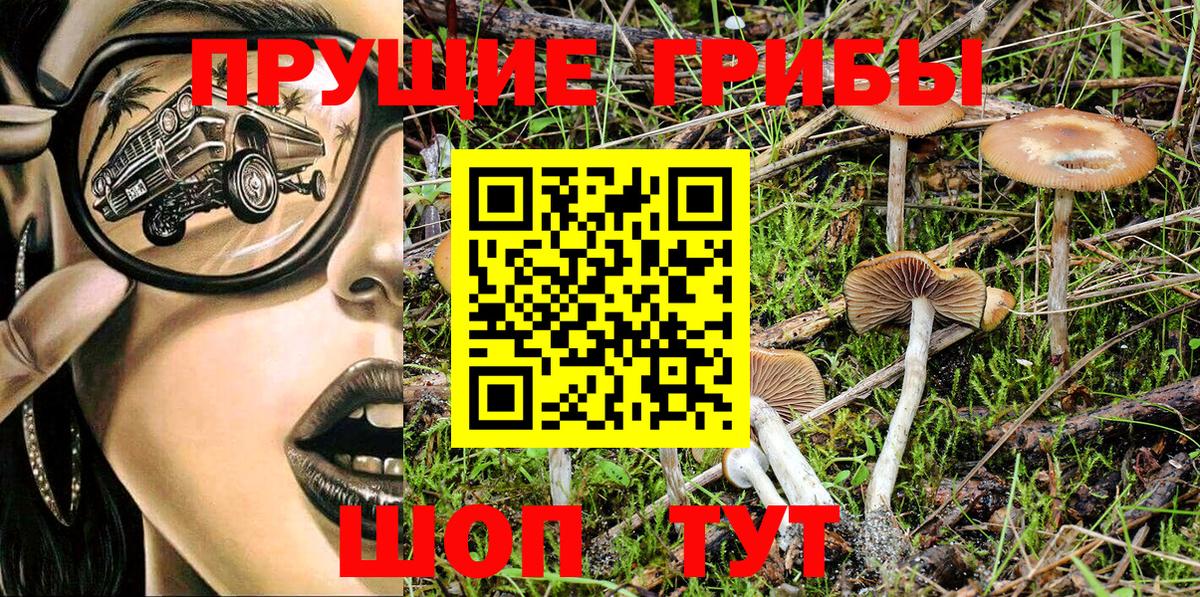 Псилоцибиновые грибы Psilocybine cubensis  Галлюциногенные грибы Psilocybe  Бор 